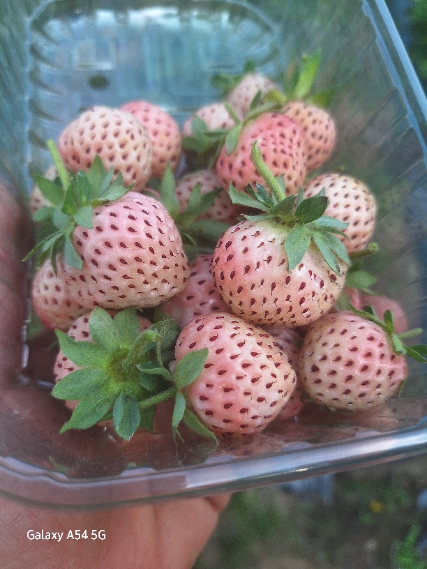 Бели ягоди с вкус на ананас PINEBERRY